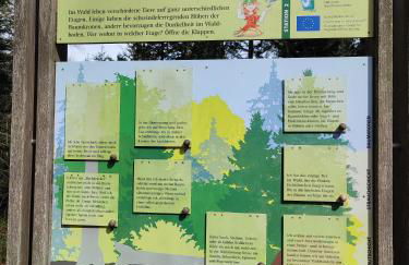 Ferienwohnung 37 Sonnenwald - Foto 42