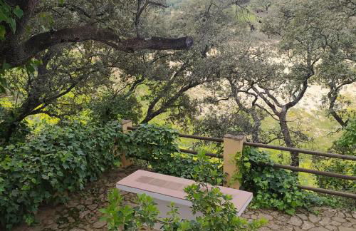 Cortijo Molino los Justos - Foto 51