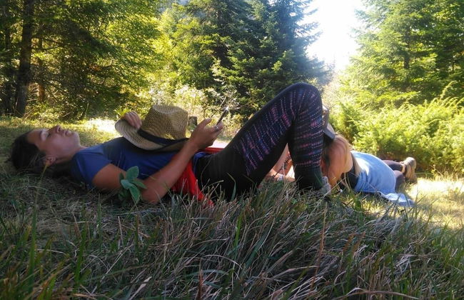 Farma Sotira - Foto 55