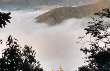 Solar dos Reis Apartamento Topázio - Photo 48