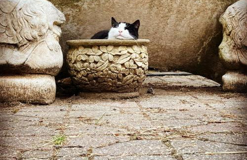 New Elms Farmhouse - Foto 56