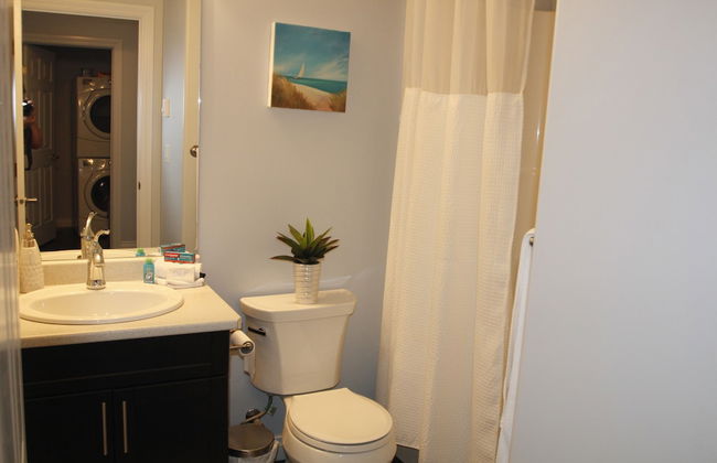 Elegant Suite - Foto 15