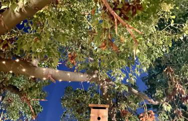 Casa La Rocita - Foto 21