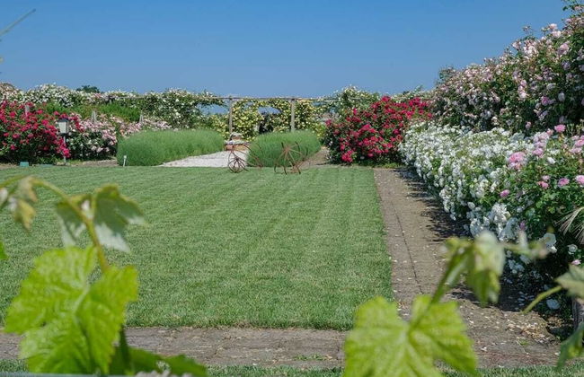 Il Fienile di Assisi - Foto 76