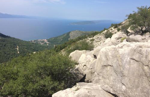 Villa Jatica - Photo 74