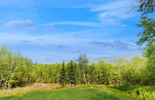 Bearly Behaving Lodge - Foto 22