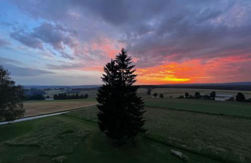 Apartment mit Grünblick & Wintergarten im Schwarzwald - Foto 21