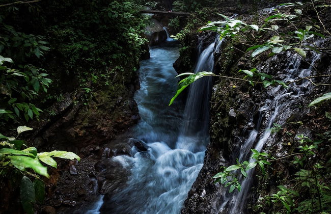 El Tigre Hideaway - Photo 47