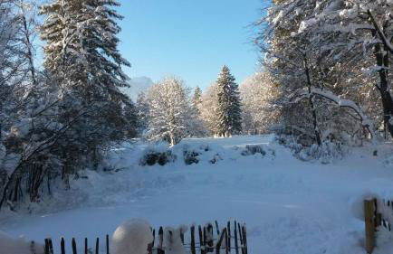 Chalet Königsstand - Foto 24