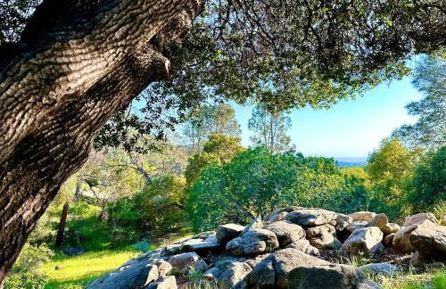 Yosemite & Bass Lake 3 Acres, Pool, Game Room, Stunning Views - Foto 19