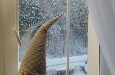 Apartament FANABERIA Lądek Zdrój - Foto 8