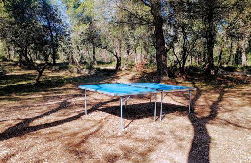 Gîte Lavande vue Luberon 33 hectares piscine Spa Sauna au cœur de Provence - Foto 25