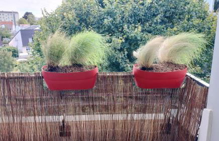 Parking gratuit, garage vélo, proche tramway - Photo 10