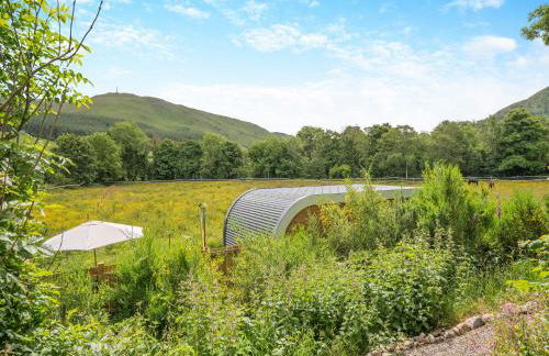 Freedom Fields - Bluebell - Photo 10