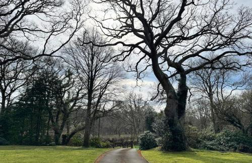 Little Luckford - Foto 8