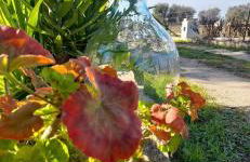 Casa Vacanza La Crava - Foto 14