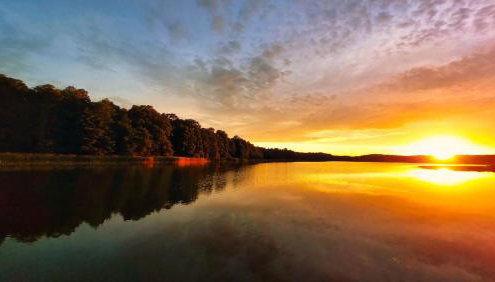 Cisowa Ostoja - Foto 4