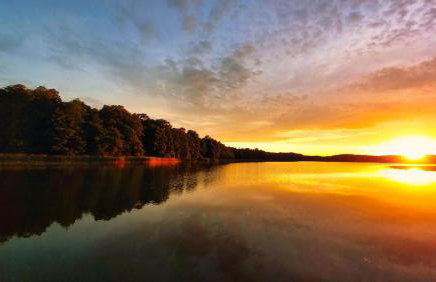 Cisowa Ostoja - Foto 4