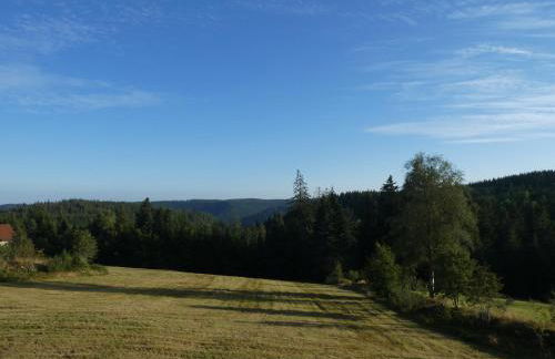 Naturapartment SCHWARZWALDSEELE Kniebis - Foto 3