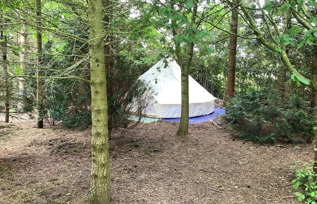 Woodlands Basic Bell Tent 3 - Foto 25