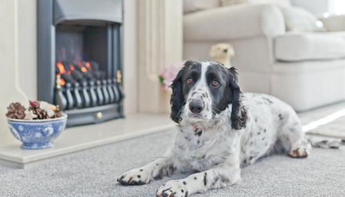 Kents Bank Holiday - Pet Friendly with Bay Views - Foto 5