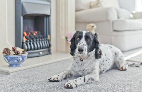 Kents Bank Holiday - Pet Friendly with Bay Views - Foto 5