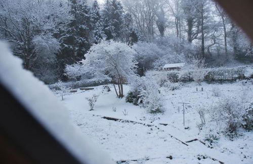 The Hen Den - Foto 33