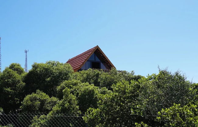 orchid huts - Photo 36