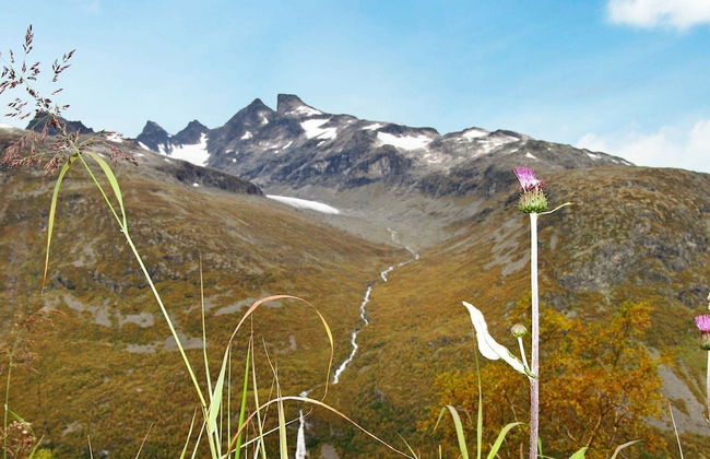 6 Person Holiday Home in Ovre Ardal - Foto 19