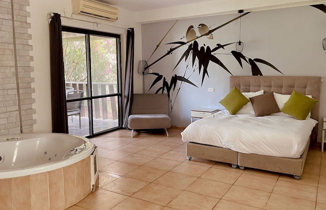 Nofey Habashan - Foto 10