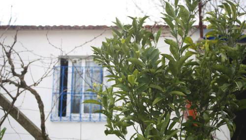 Sintra Nomad Lodge - Foto 4