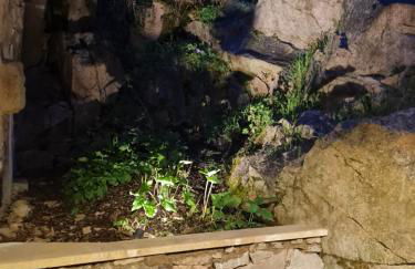 Le Moulin de l'O-L'Orle Nature formule 4 personnes - Foto 15