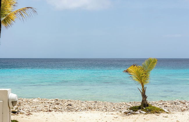 Light House Beach house with Ocean View - Foto 47