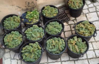 Terrace house ! - Photo 39