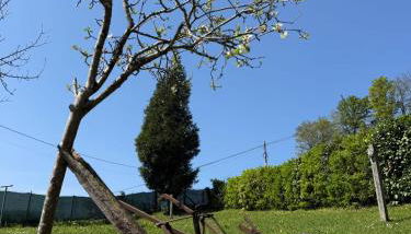 La Casería de Los Hevia 1 y 2 - Foto 5