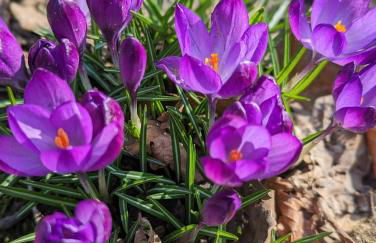 HEIDEWAY KOMPLETTE Wohnung FREI Parken TOP Anbindung A46 - Foto 47