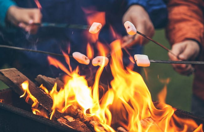 Lakeview Escape Kayaks - Foto 11