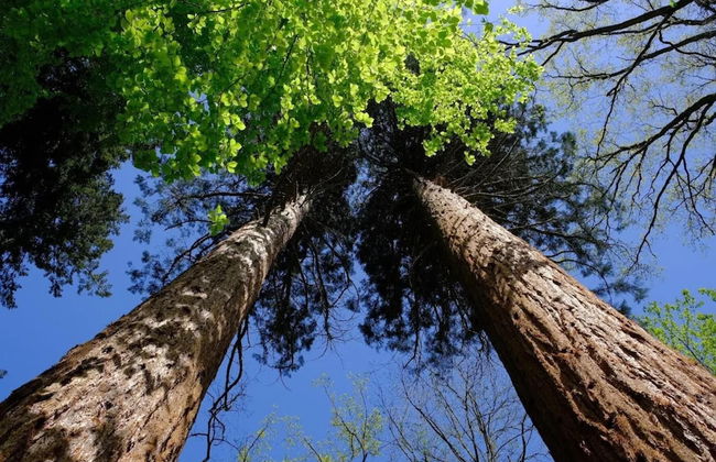 Chalet in Wendorf - Foto 26