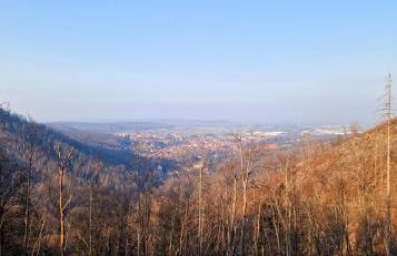 Ferienwohnung Schwarzer Hirsch - Foto 20