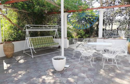 Wild Paradise - Foto 15