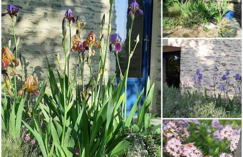 Le Moulin d' Erée, gîte Insolite de charme - Foto 16