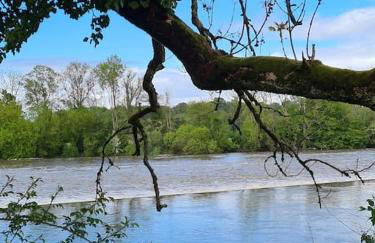 Gîte de la Gourgeonne - Foto 11