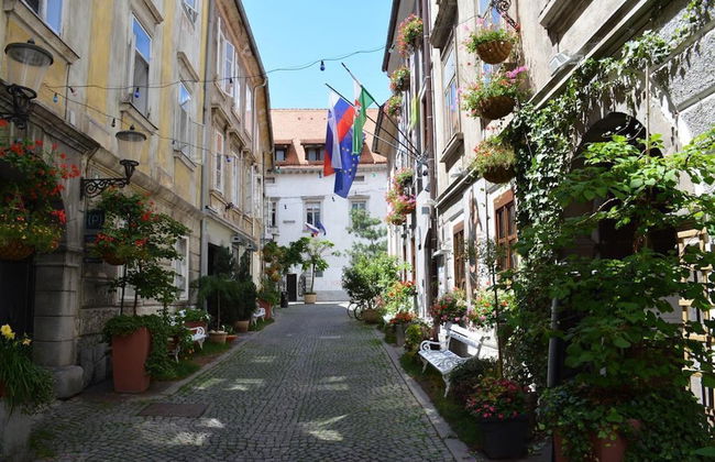 Codelli Deluxe Unique Fresko Apartments - Photo 1