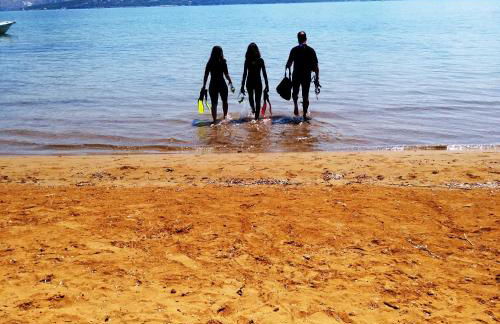 Alekos Beach Houses - Alekos Beach Complex - Photo 72