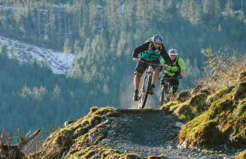 Cape Cottage - Photo 26