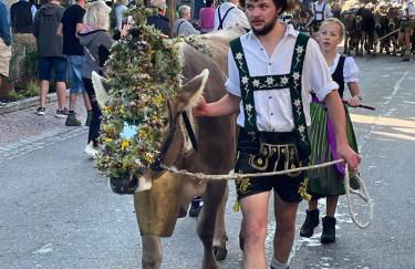 Ferienwohnung Steibis / Allgäu - Foto 9