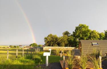 North Star Glamping - Foto 11