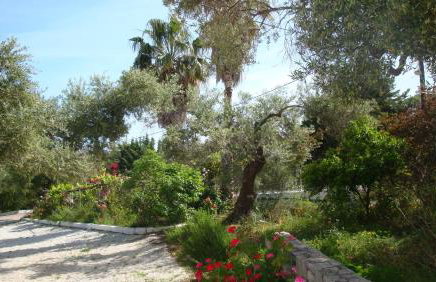 Calamon Apartments - Foto 51