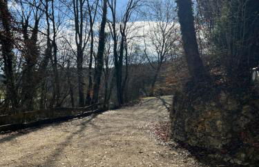 Schloss Suggenstein - Foto 15