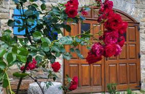 Apartments Villa San Vito - Foto 39